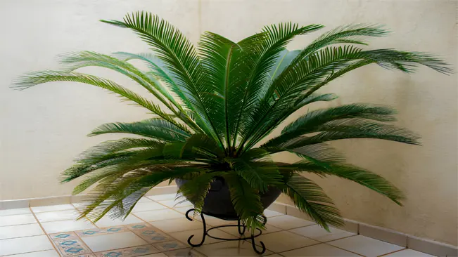 Indoor Cultivation