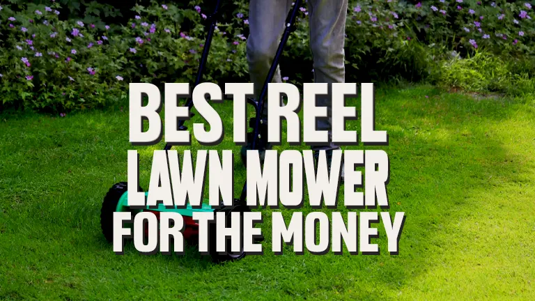 Best Reel Lawn Mower for The Money: Ultimate Buyer's Guide 2024 