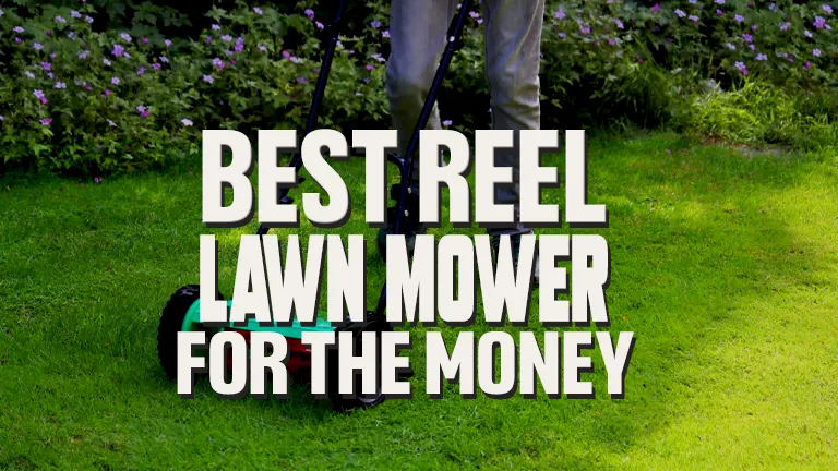 Best Reel Lawn Mower for The Money: Ultimate Buyer's Guide 2024