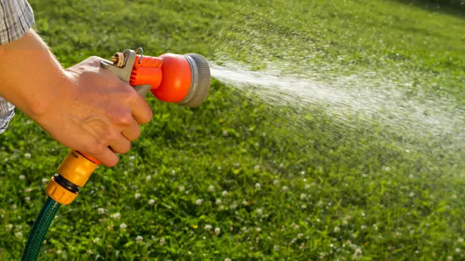 Person watering a vibrant green lawn