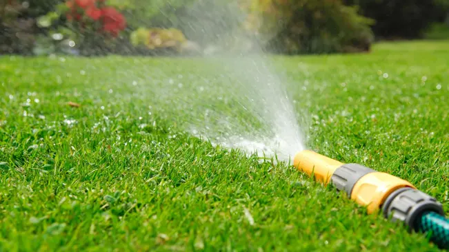 Watering lawn with hose