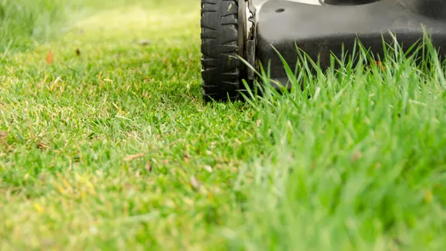 Lawn mower cutting green grass in a garden