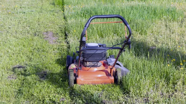 Lawn mower in a partially mowed field with wildflowers