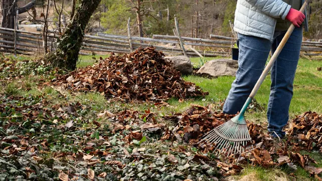 Person raking fallen leaves in a yard.