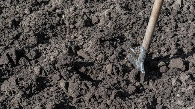 Shovel in dirt pile