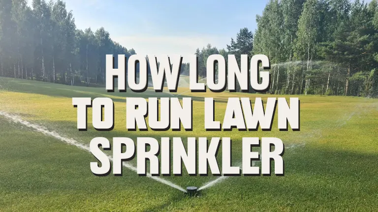 How Long To Run Your Lawn Sprinkler: A Guide to Efficient Watering