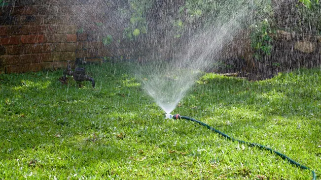 Sprinkler watering grass against a brick wall