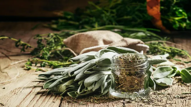 Dried sage in a glass jar, fresh sage on the vintage wooden table, preparation of medicinal herbs drying, selective focus

