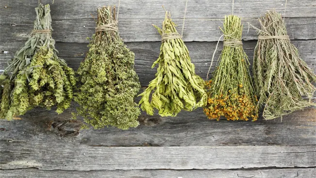 A bunch of dried herbs hanging on a light colored wooden wall