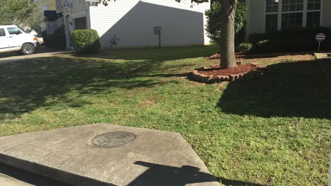 shows a well-maintained front yard of a house with a lush green lawn, a tree in a small circular garden bed, and a concrete driveway under a clear sky.