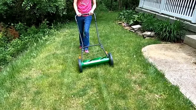 a person in a pink top and blue jeans mowing a well-maintained garden with a green and black manual push lawn mower
