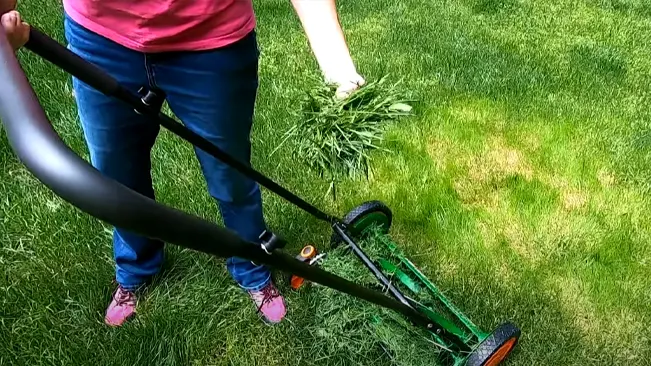 visible from the waist down, using a green manual push lawn mower on a lush green lawn