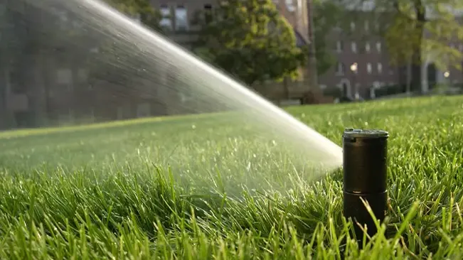Sprinkler watering a lush green lawn with a building in the background.