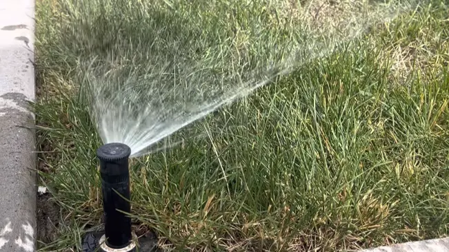 Garden hose with spray nozzle