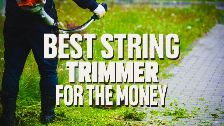 Best Gas String Trimmers for the Money 2024: Great Performance, Great Price