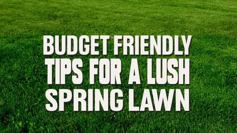Budget-Friendly Tips for a Lush Spring Lawn: How to Save and Sow