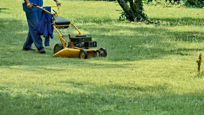 Person mowing a lush green lawn with a push mower