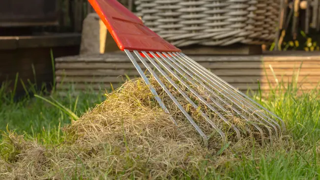 Rake gathering hay on a green lawn