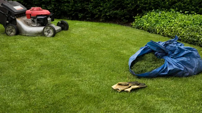 Lawn mower on green lawn