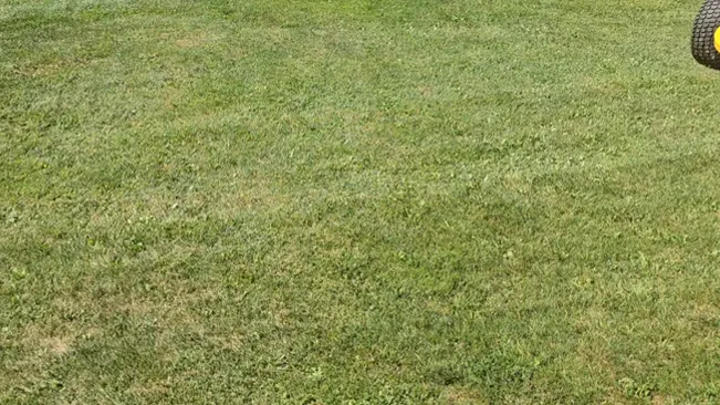 Freshly mowed grass field with a partial view of a tire.