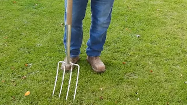 Person aerating a well-maintained lawn with a garden fork in autumn