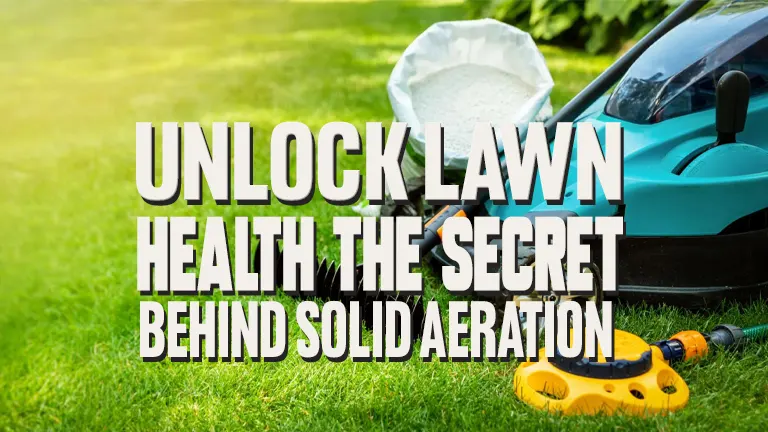 Unlock Lawn Health: The Secret Behind Solid & Hollow Aeration Tools