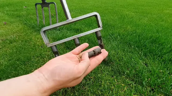hand holding a cylindrical soil core sample with a lawn aerator and well-maintained grass