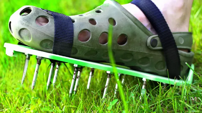 foot wearing a grey, clog-style shoe with multiple screws protruding from the sole, stepping on bright green grass