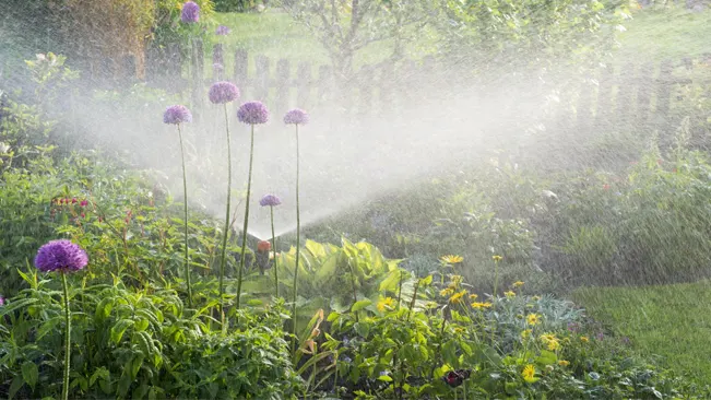 How to Keep Your Garden Thriving in Summer Heat