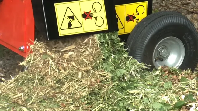 Grass clippings by tire