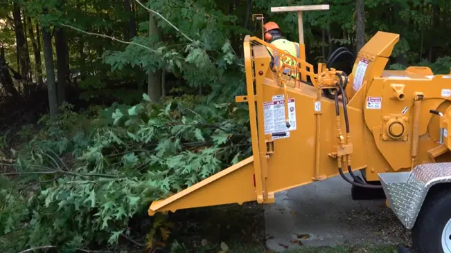 Wood chipper processing branches in a forest