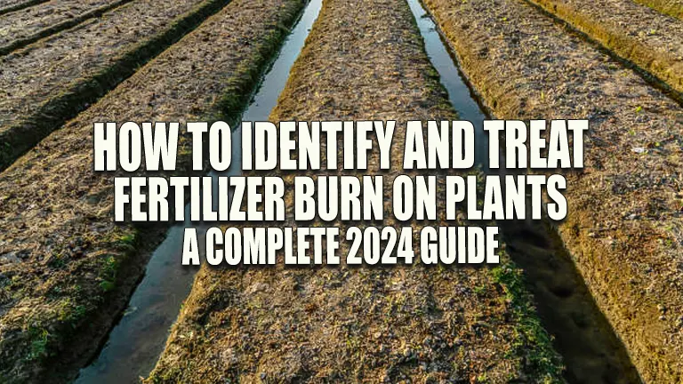 How to Identify and Treat Fertilizer Burn on Plants: A Complete 2024 Guide