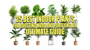 Assortment of indoor plants in decorative pots, including varieties such as palm, monstera, and ficus, for home or office decor.