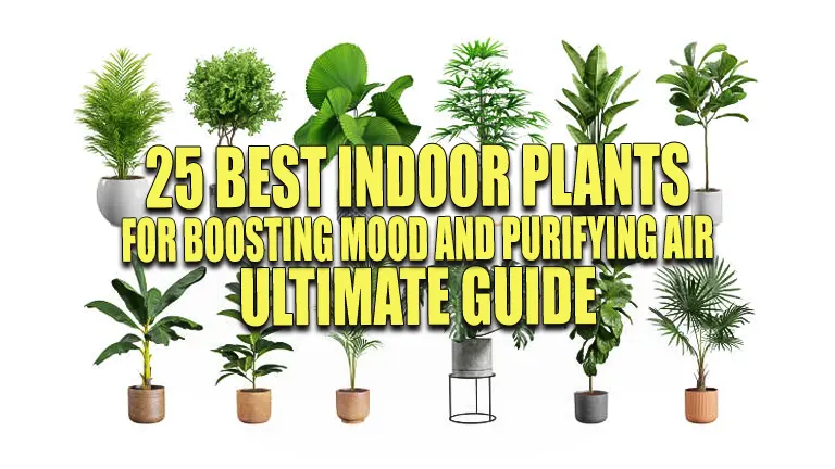 25 Best Indoor Plants for Boosting Mood &amp; Purifying Air: Ultimate Guide