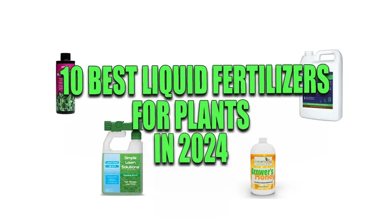10 Best Liquid Fertilizers for Plants in 2024: Unleash Max Growth &amp; Health