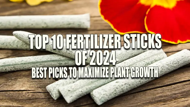 Top 10 Fertilizer Sticks of 2024: Best Picks to Maximize Plant Growth