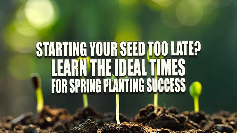 Are You Starting Your Seeds Too Late? Learn the Ideal Times for Spring Planting Success