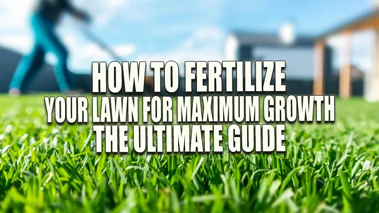 How to Fertilize Your Lawn for Maximum Growth: The Ultimate Guide