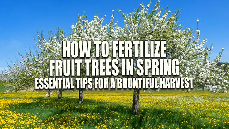 How to Fertilize Fruit Trees in Spring: Essential Tips for a Bountiful Harvest