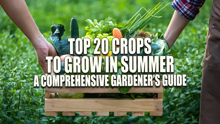 Top 20 Crops to Grow in Summer: A Comprehensive Gardener’s Guide