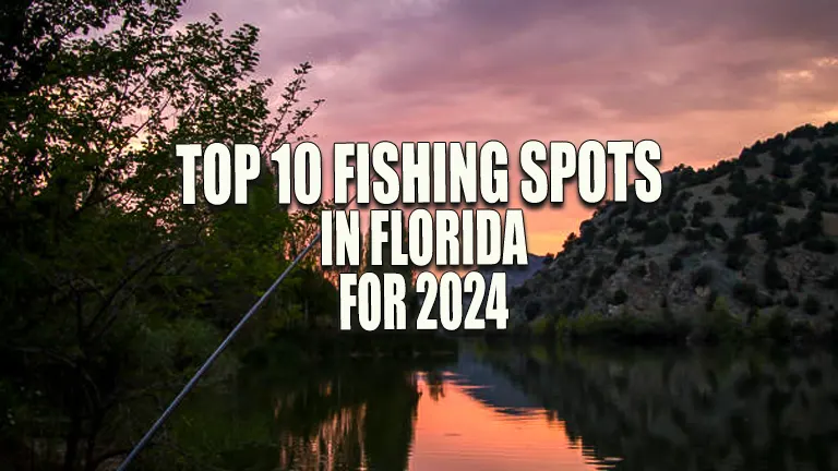 Top 10 Fishing Spots in Florida for 2024: Exclusive Insider Tips