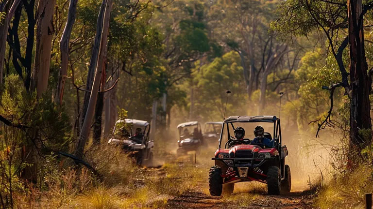 A line of off-road vehicles driving on a dusty trail through a dense eucalyptus forest.

