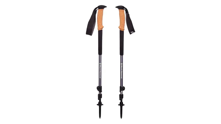 Two black adjustable trekking poles with natural cork handles and black straps, set against a white background.