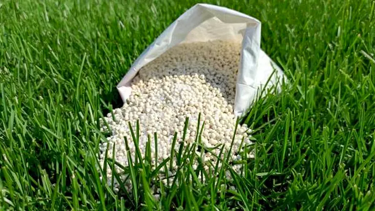 An open bag of white granular lawn fertilizer spilling onto vibrant green grass under bright sunlight.