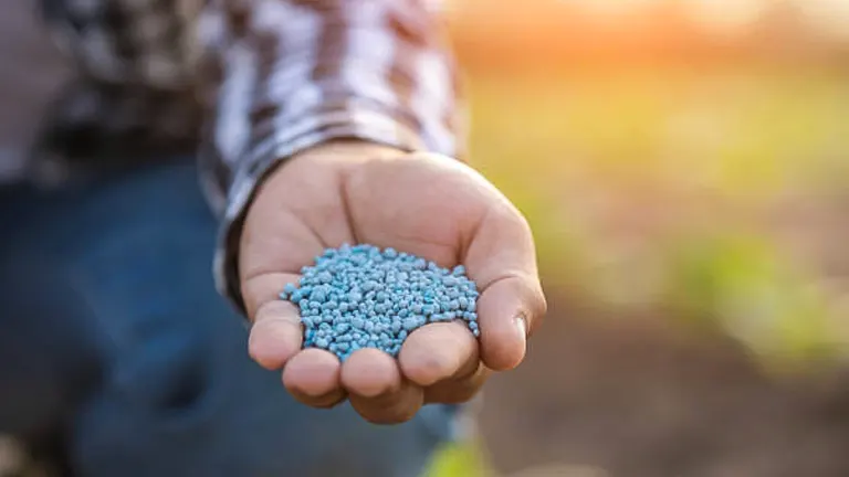 A person's outstretched hand holding a small amount of blue granular fertilizer, with a softly blurred natural background hinting at an agricultural setting.
