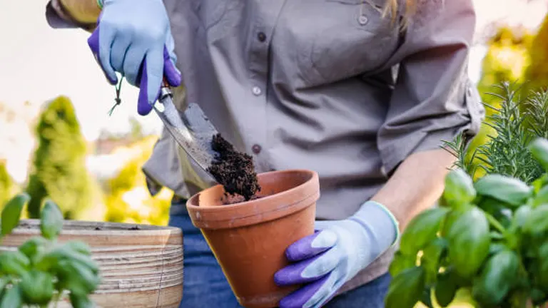 A person wearing blue gloves with purple fingertips is adding soil to a terracotta pot, preparing it for planting, with various green plants and a garden setting in the background.

