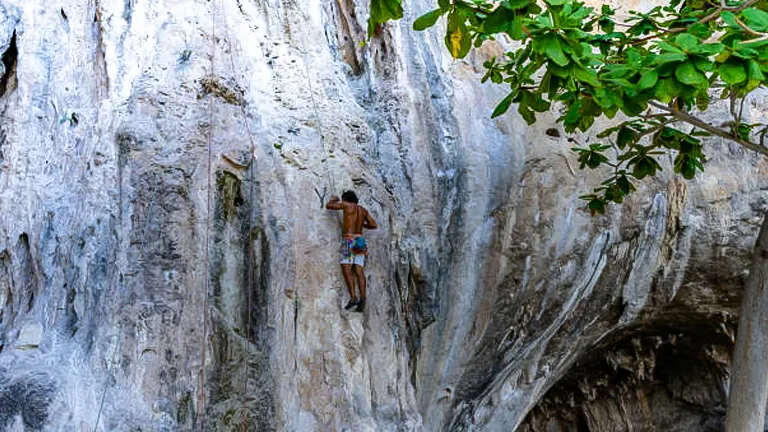 A shirtless climber scaling a textured white rock face near green foliage.

