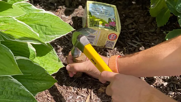 A person's hands using a hammer to insert a fertilizer spike into the soil beside green leafy plants, with a box of the product visible in the background.