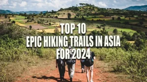 Four people trekking through a picturesque landscape of rolling hills, greenery, and open skies, showcasing the beauty and serenity of nature.