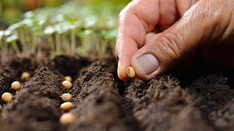 A close-up of a person's hand planting seeds in rich, dark soil, with more seeds scattered along the furrows.